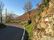 83 Scesa la scaletta il sentiero 505B prosegue a sx su strada asfaltata per buon tratto